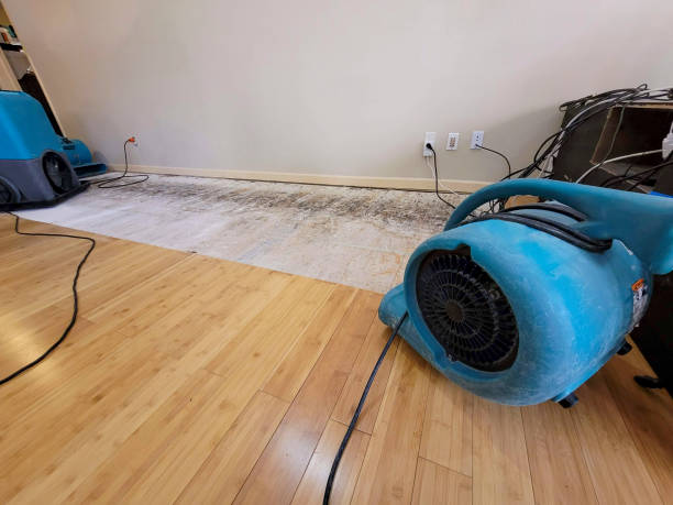 Professional Basement Flood Cleanup technician working in Caldwell, TX